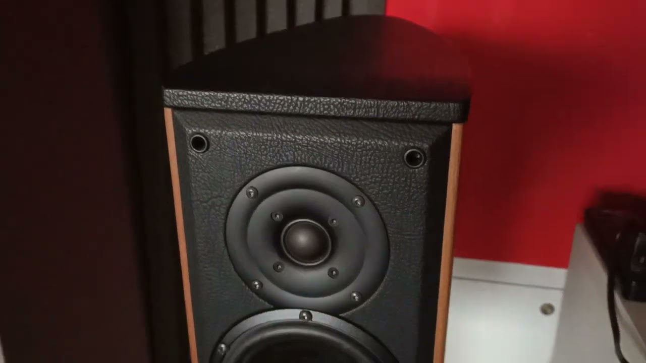 sonus faber liuto monitor
