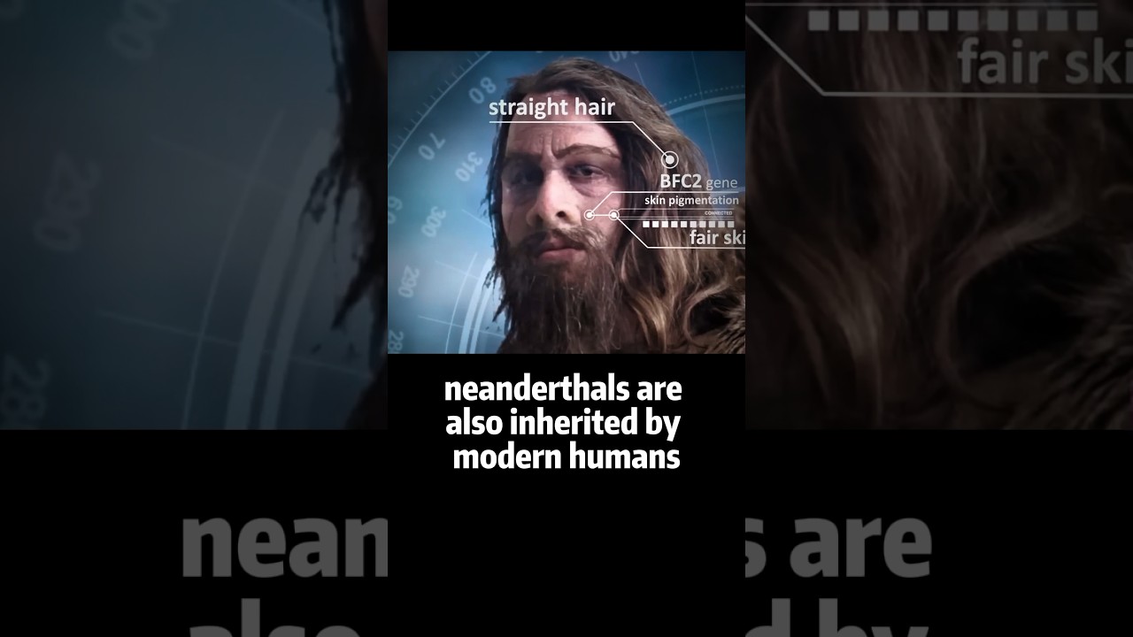 🔺 Modern human genetic makeup is ~3% Neanderthal which made a great impact on us 