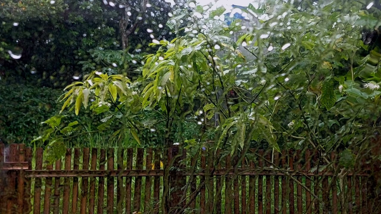 1 hours Natural heavy rain the deep  sleep 