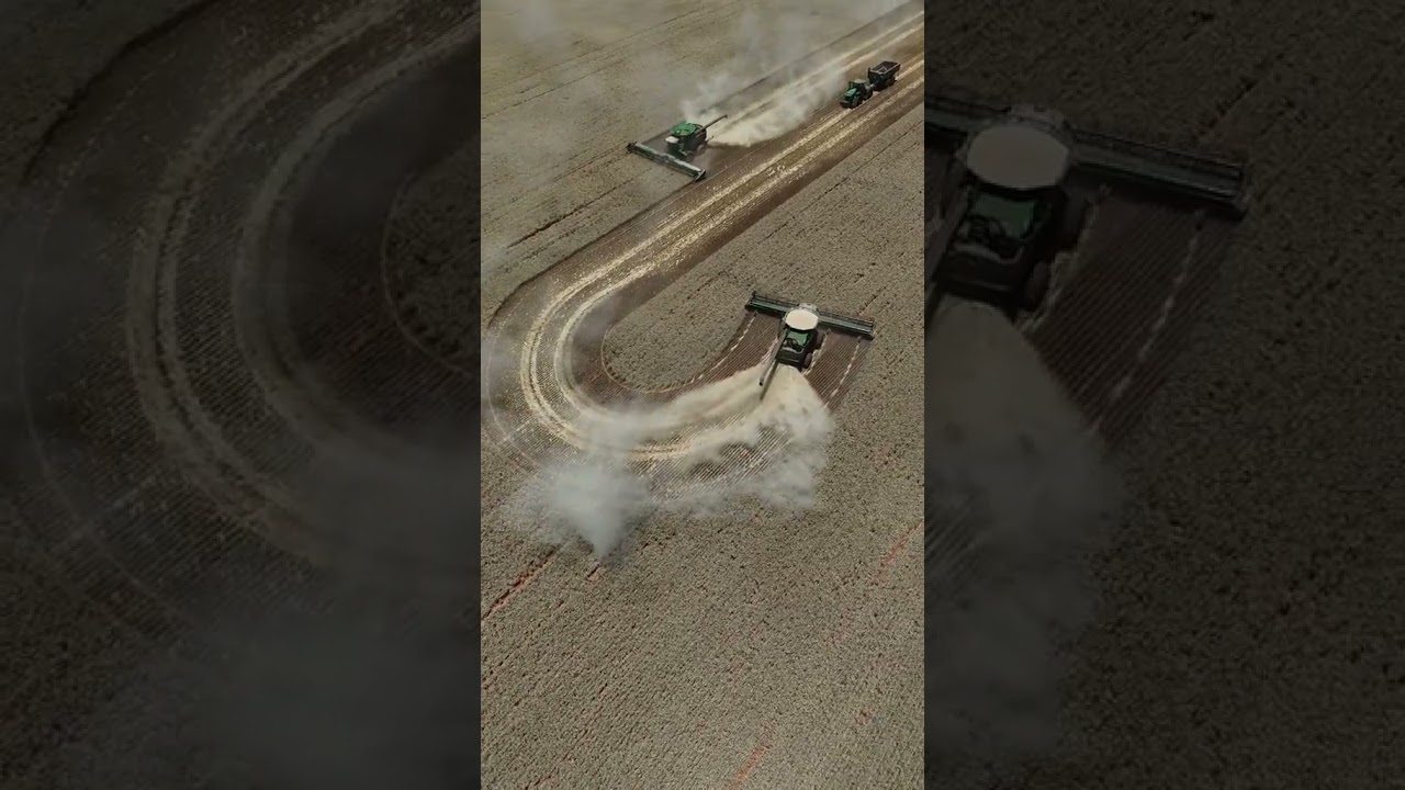 Just like clockwork with high yields #farmtok #teamwork #johndeere#harvest #farming