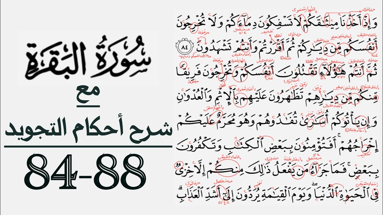 كيف تقرأ سورة البقرة مع شرح أحكام التجويد ٨٤-٨٨