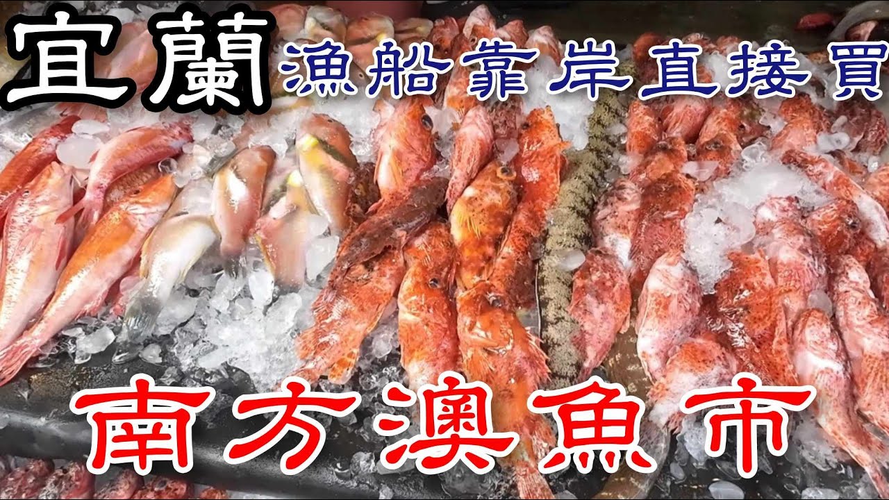 宜蘭南方澳漁港丨漁船靠岸直接買丨有冷氣的現代化魚市場丨魚販阿姨說這間代客料理都是大廚丨買不到鰻魚乾可惜了.....