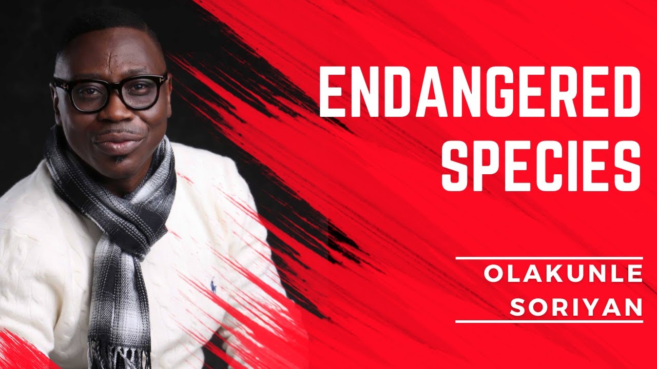 Endangered Species ft. Olakunle Soriyan
