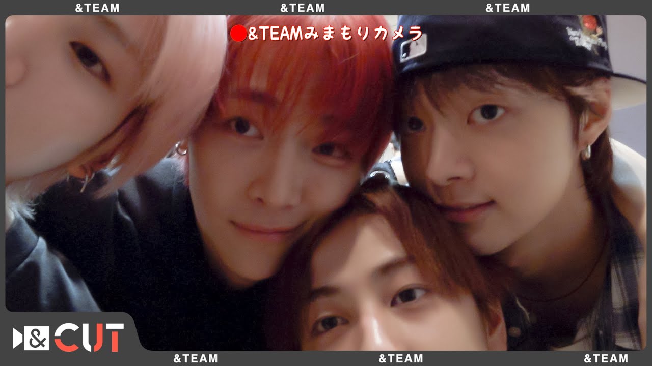 [&CUT] &TEAM 관찰 카메라에 찍힌 것은?🎥 | 카메라가 신기한 늑대 가족 관찰기🐺