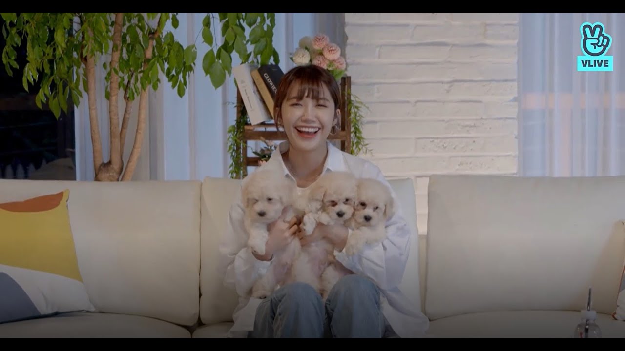 [ENGSUB] APINK Eunji x Couch Talk Full