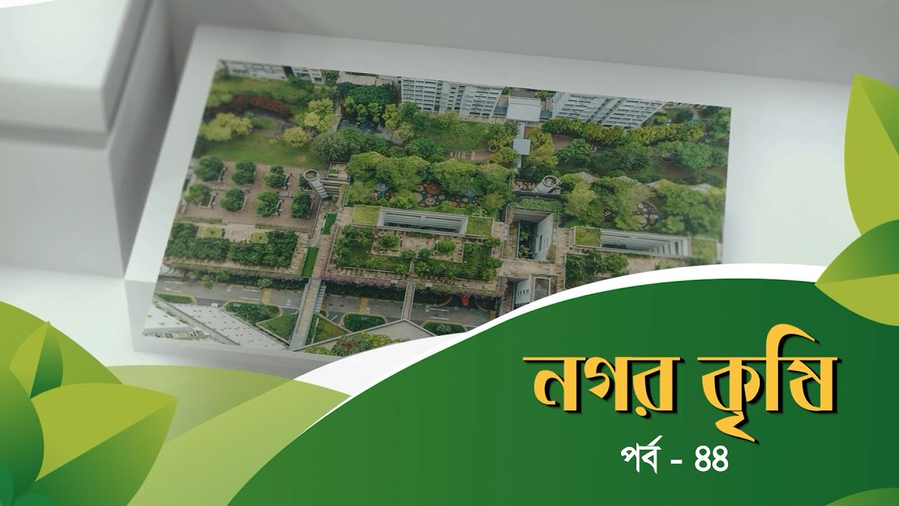 নগর কৃষি | পর্ব- ৪৪ | Nogor Krishi | Urban Agriculture | রাশেদা আক্তার সীমা। BTV Chattogram