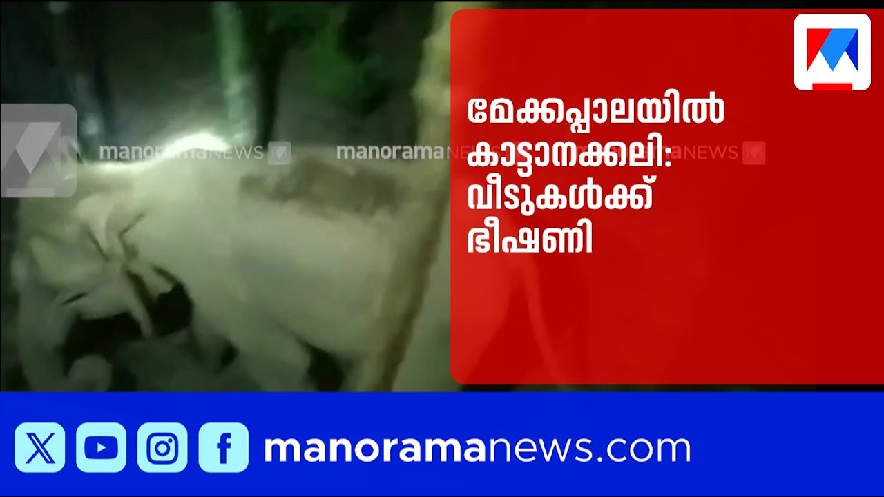 മേക്കപ്പാലയിൽ കാട്ടാനക്കലി: വീടുകൾക്ക് ഭീഷണി | Mekkappala | WildElephant
