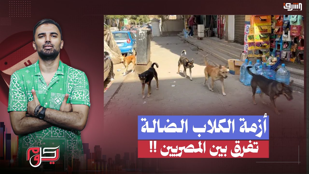 أزمة الكلاب الضالة توضح فرق الطبقات في مصر !!
