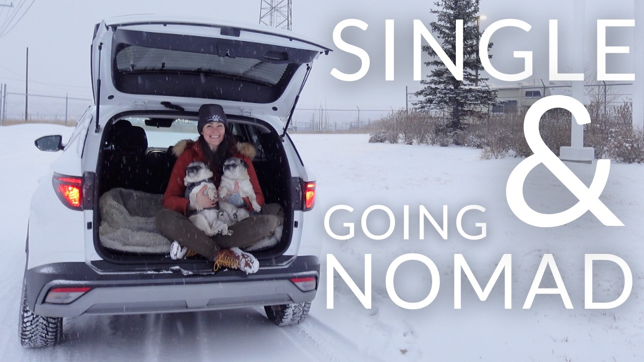 Эпизод 41 | Расставание + совершенно новая машина для побега 💔🚘🐾