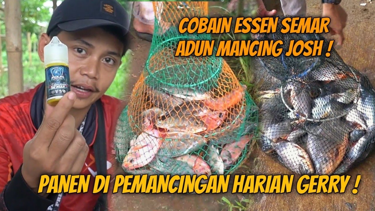 ASAL KUAT NGAMBILIN IKAN AJA NIH ! PMC GERRY IKAN CAMPUR !!