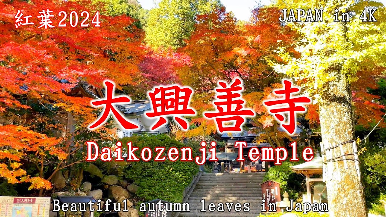 【佐賀】大興善寺 1300年の歴史を持つ紅葉スポット　JAPAN in 4K