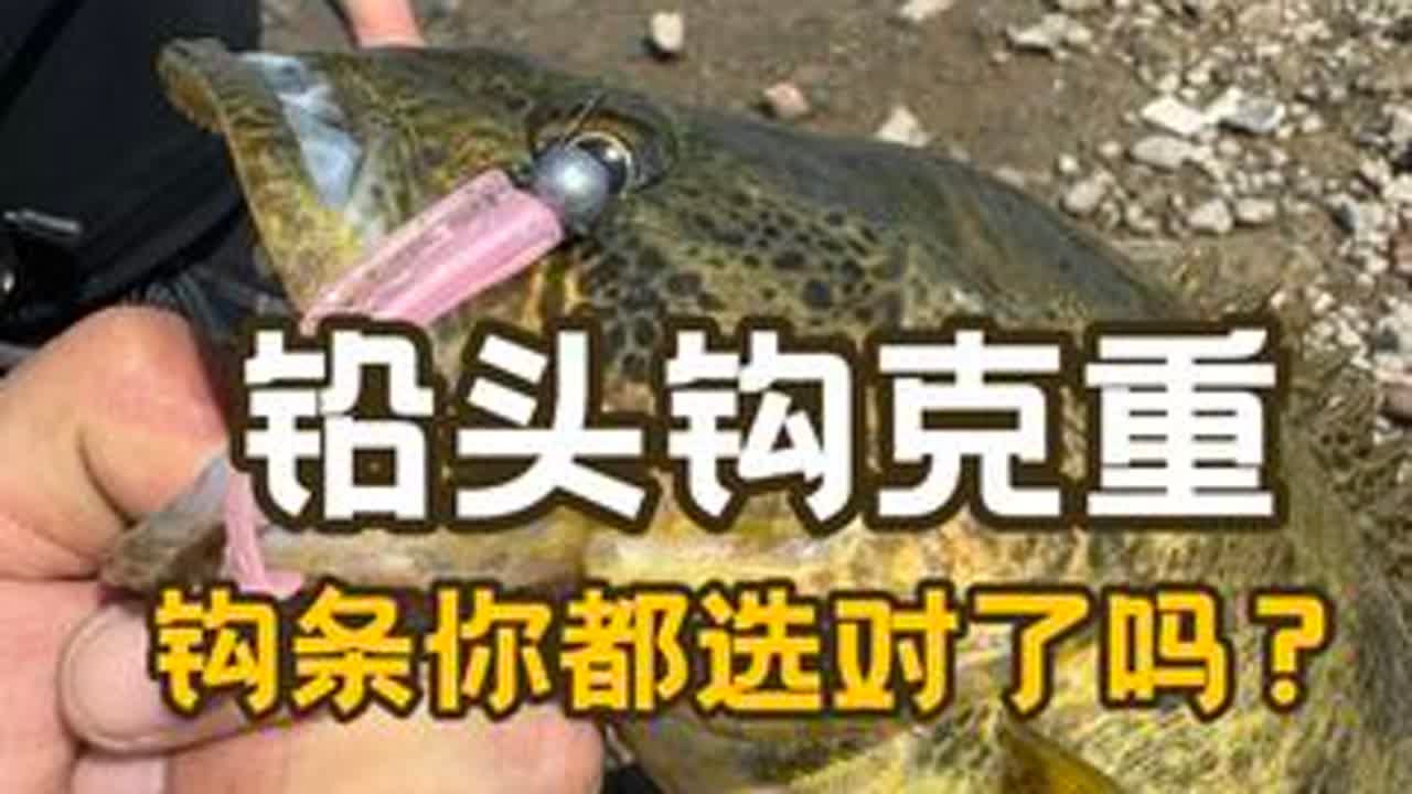 铅头钩的克重和号数别再乱选了！记住这两点，鳜鱼咬钩率翻倍。 #路亚鳜鱼 #路亚新手入门教程 #铅头钩 #软饵#2025dou来钓鱼