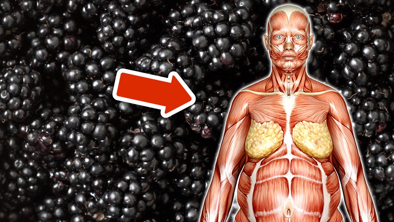 Du wirst &uuml;berrascht sein was passiert, wenn du JEDEN TAG Brombeeren isst 💥 (WOW) 🤯