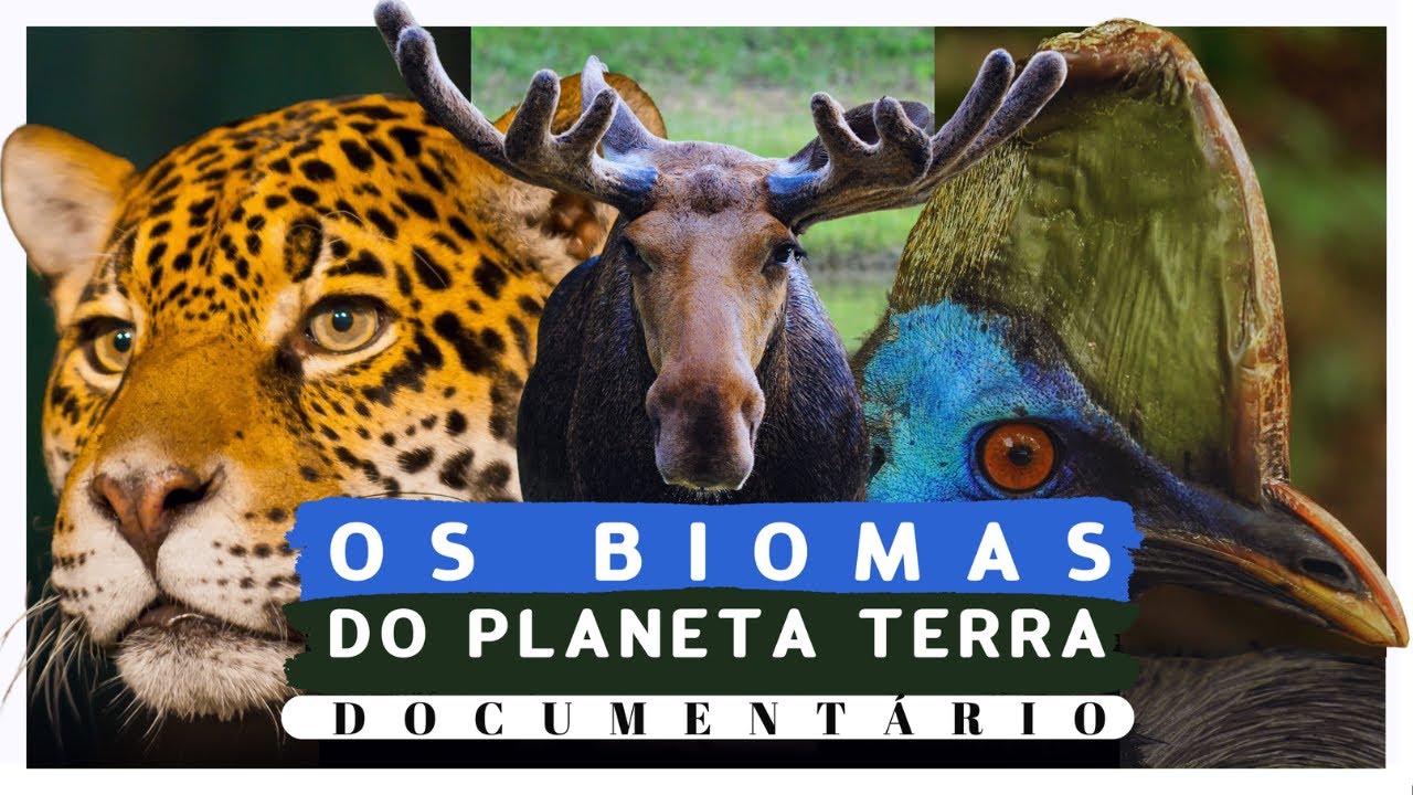 OS BIOMAS DO PLANETA TERRA - DOCUMENTÁRIO | Os biomas mundiais terrestres