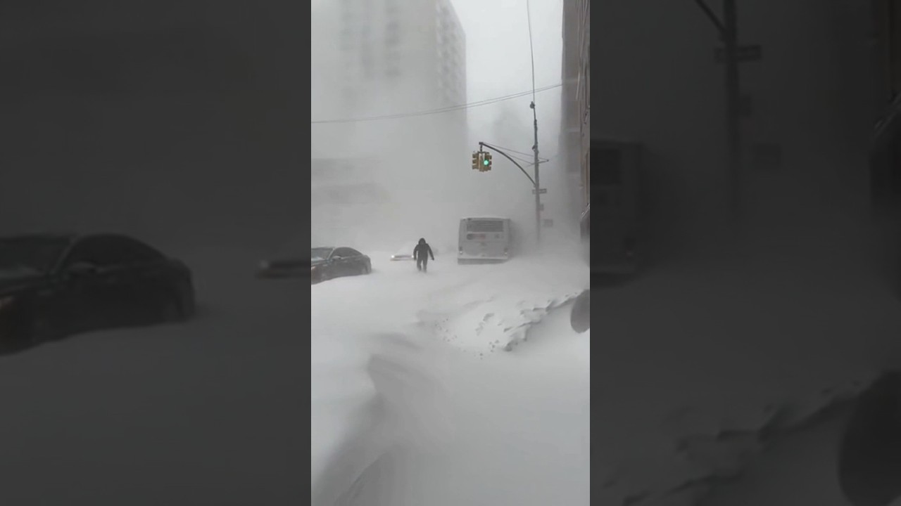 When Toronto Disappeared Into the Storm