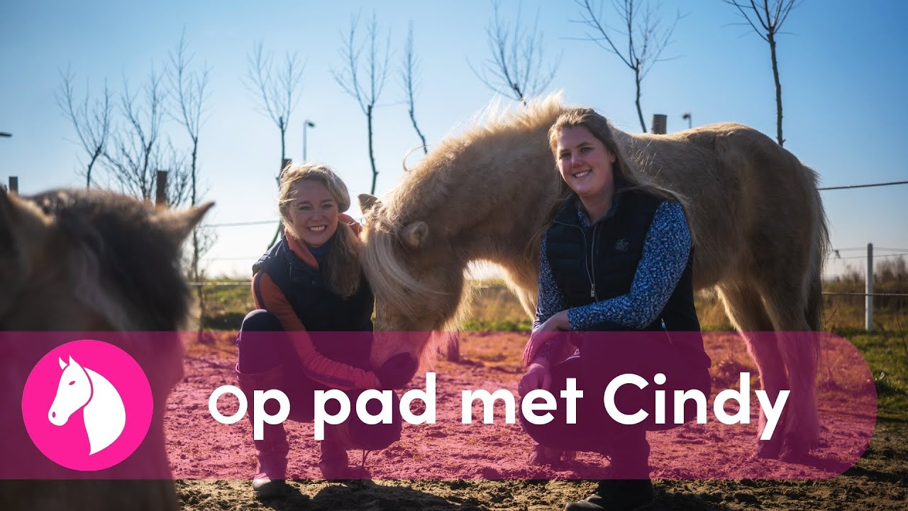 Op pad met#6: Cindy Schipper - therapie met paarden