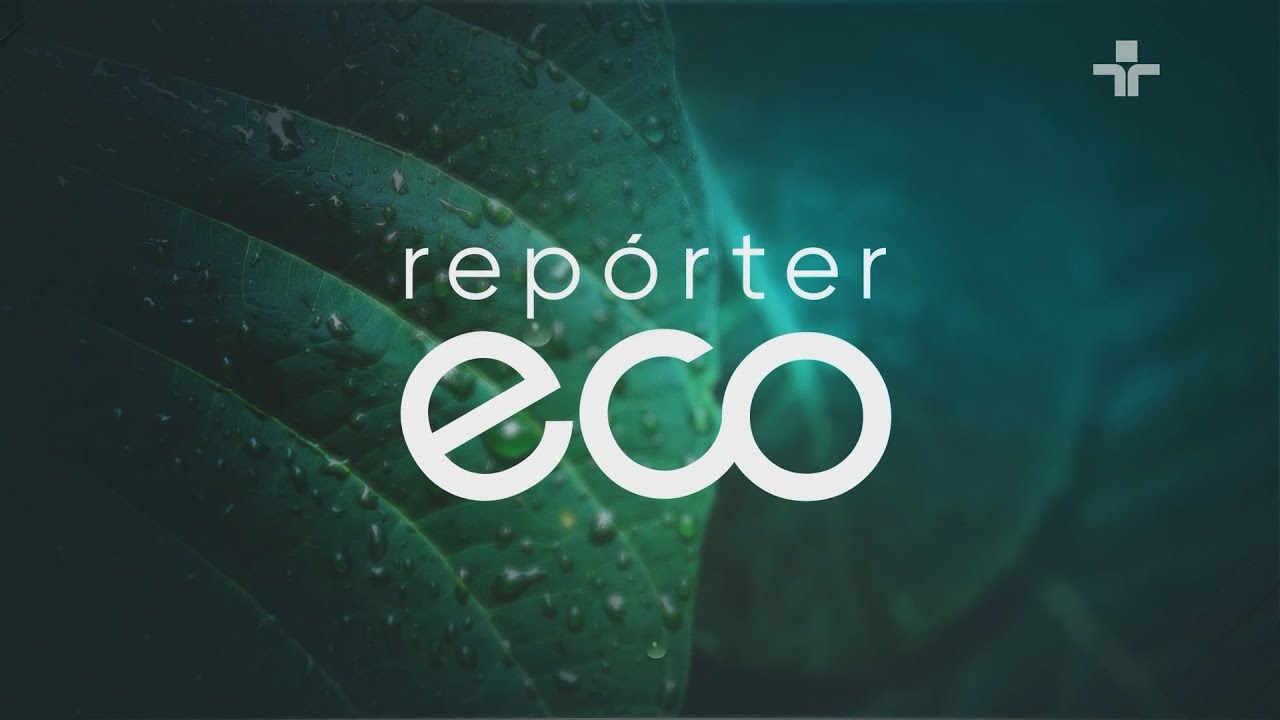 REPÓRTER ECO | 28/09/2025