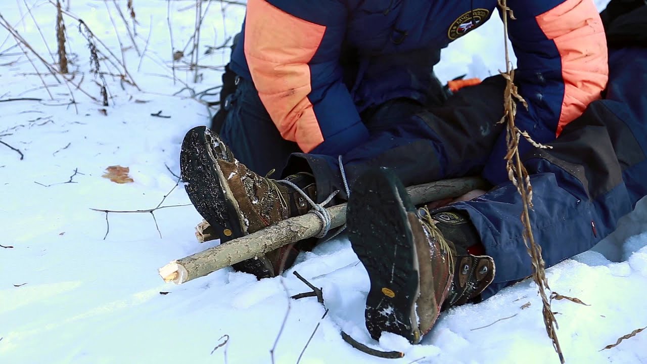 Как оказать первую медицинскую помощь в лесу?