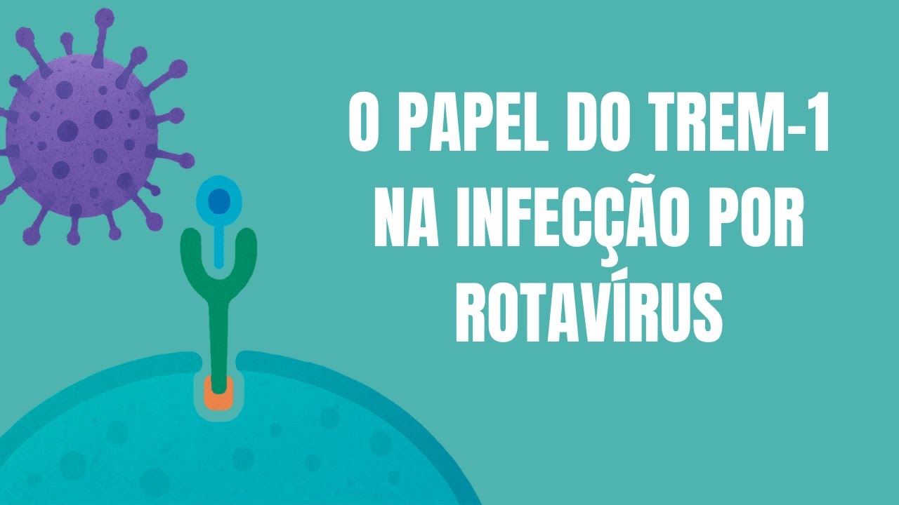 Qual o papel do TREM-1 na Infecção por rotavírus? Estudo do LIMIM traz novas respostas!