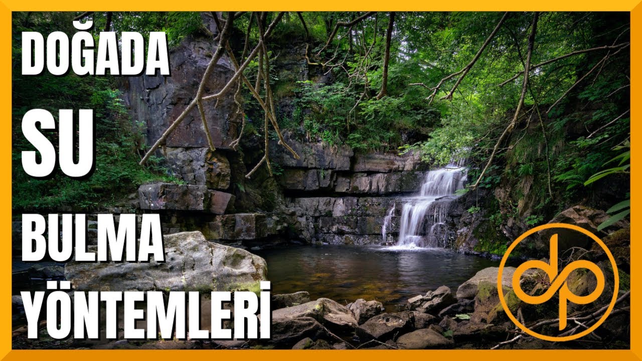 DOĞADA SU NASIL BULUNUR? | Su Varlığına Dair İşaretler ve İpuçları!!! (DOĞADA HAYATTA KALMA)
