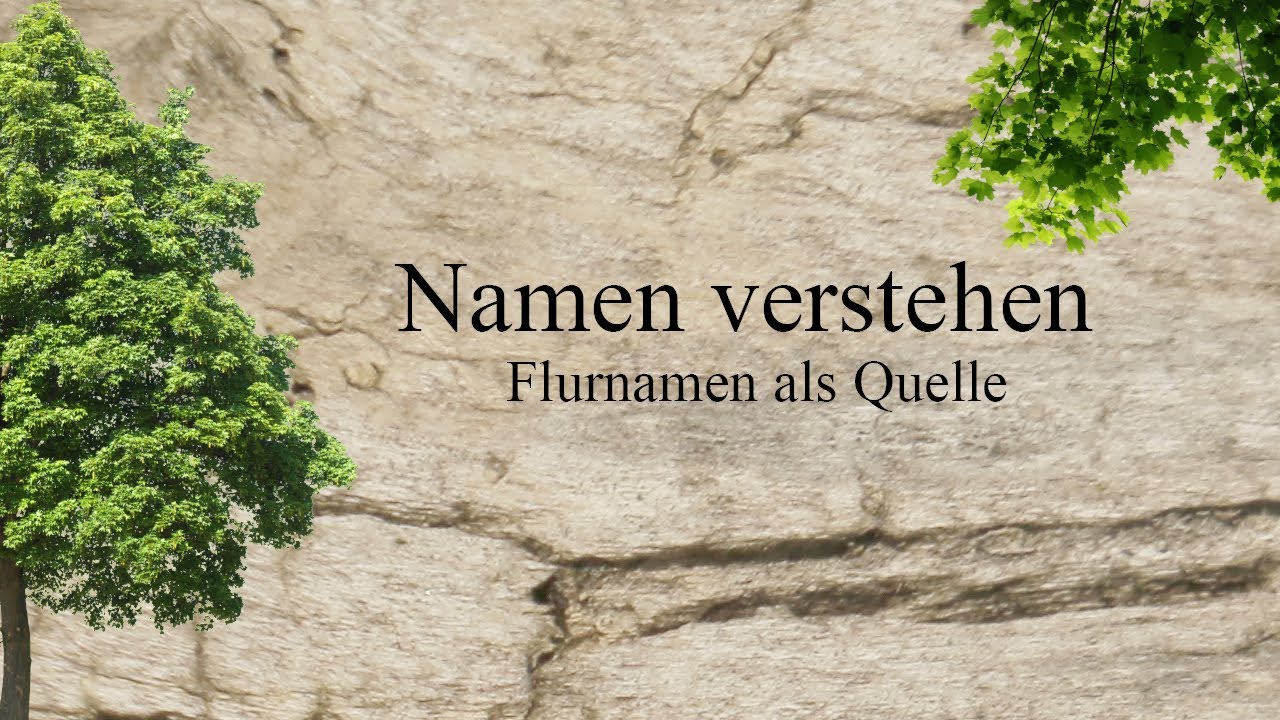 Geschichte des Waldes - Namen verstehen