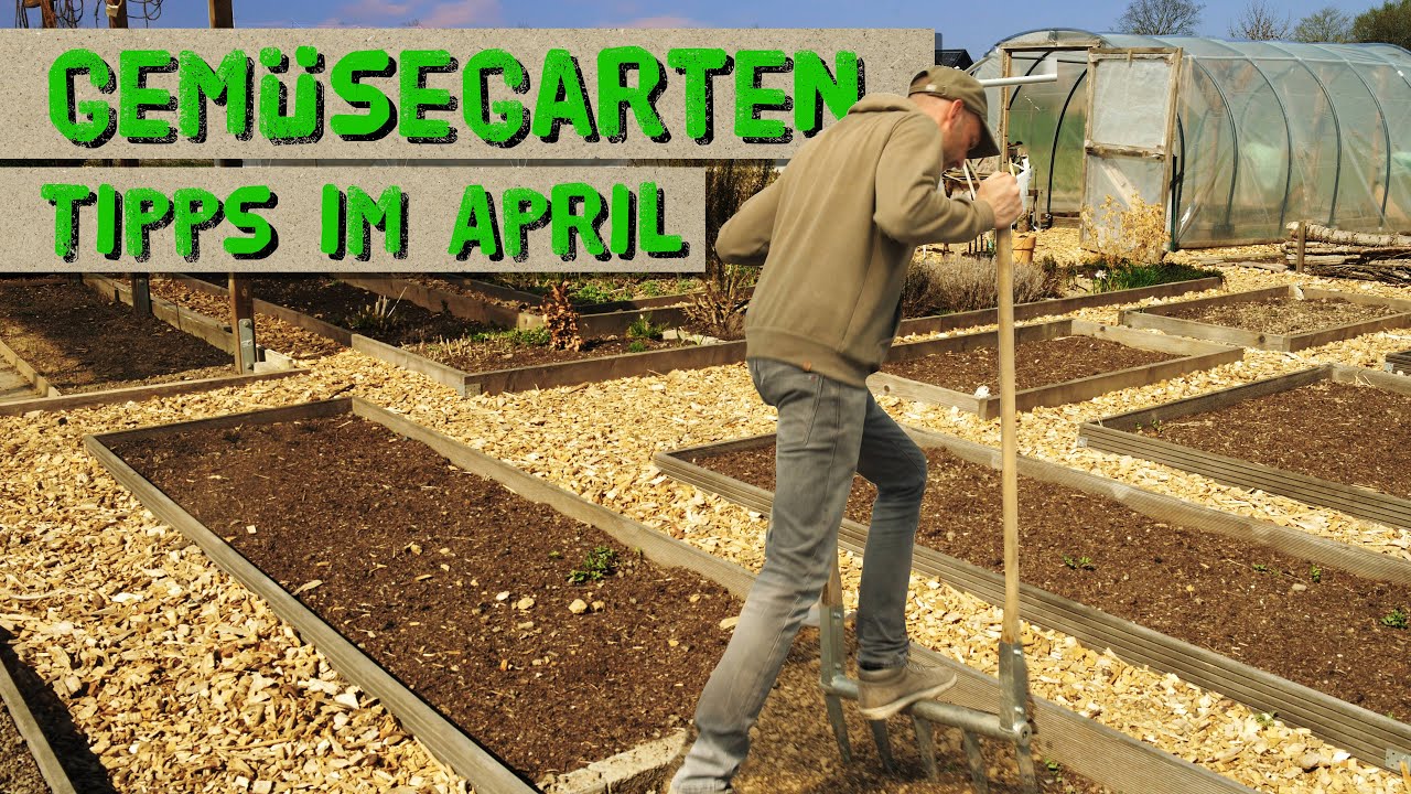 Arbeiten im Gemüsegarten im April - Tipps für Erbsen, Erdbeeren, Beetumrandungen, Broadfork, uvm.
