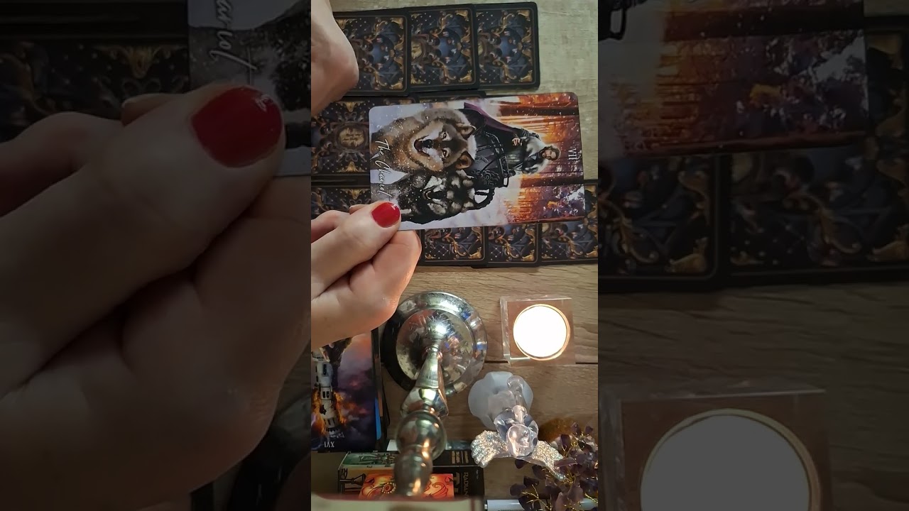 Jauno mėnulio tarot. Zodiako ratui.
