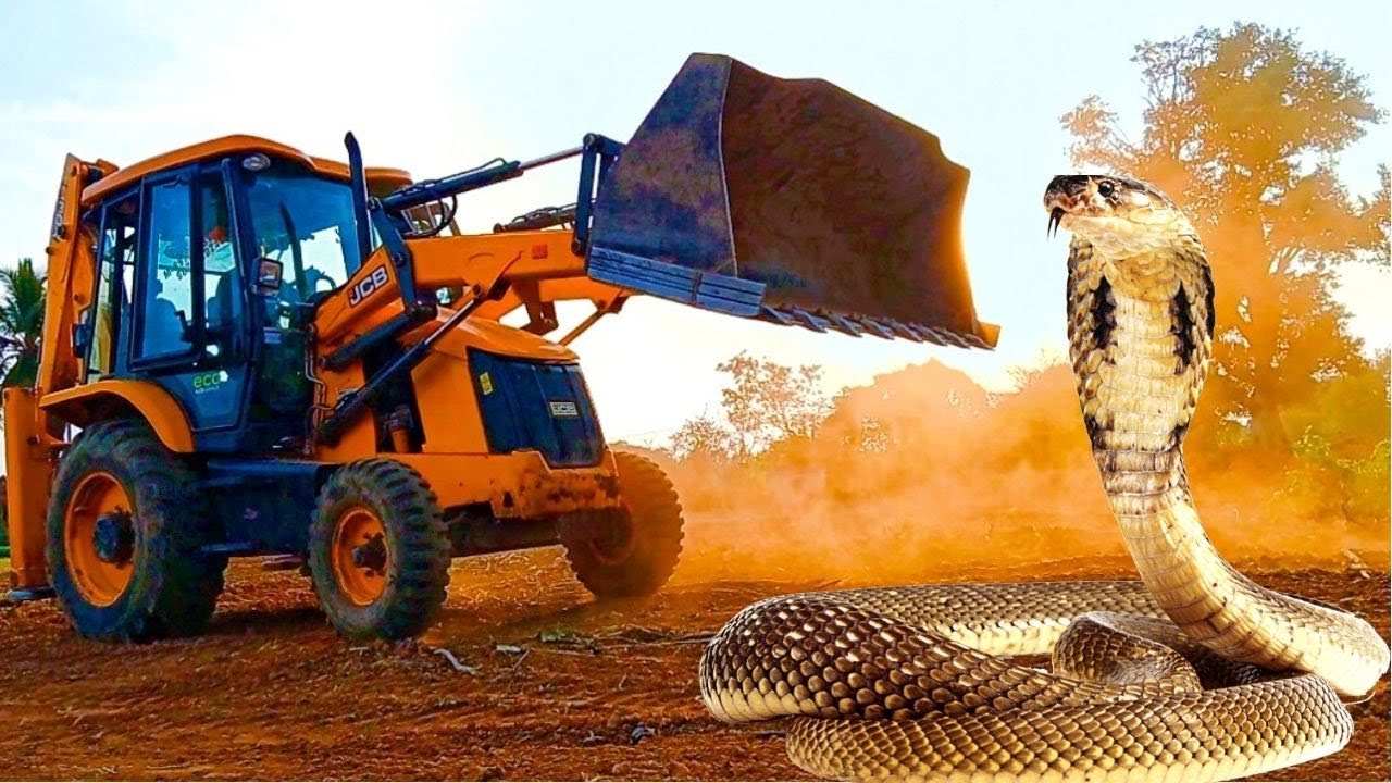 JCB Backhoe Work For Rain Floods Canal Digging | Bigg Kobra Snake On Working Place | JCB Video