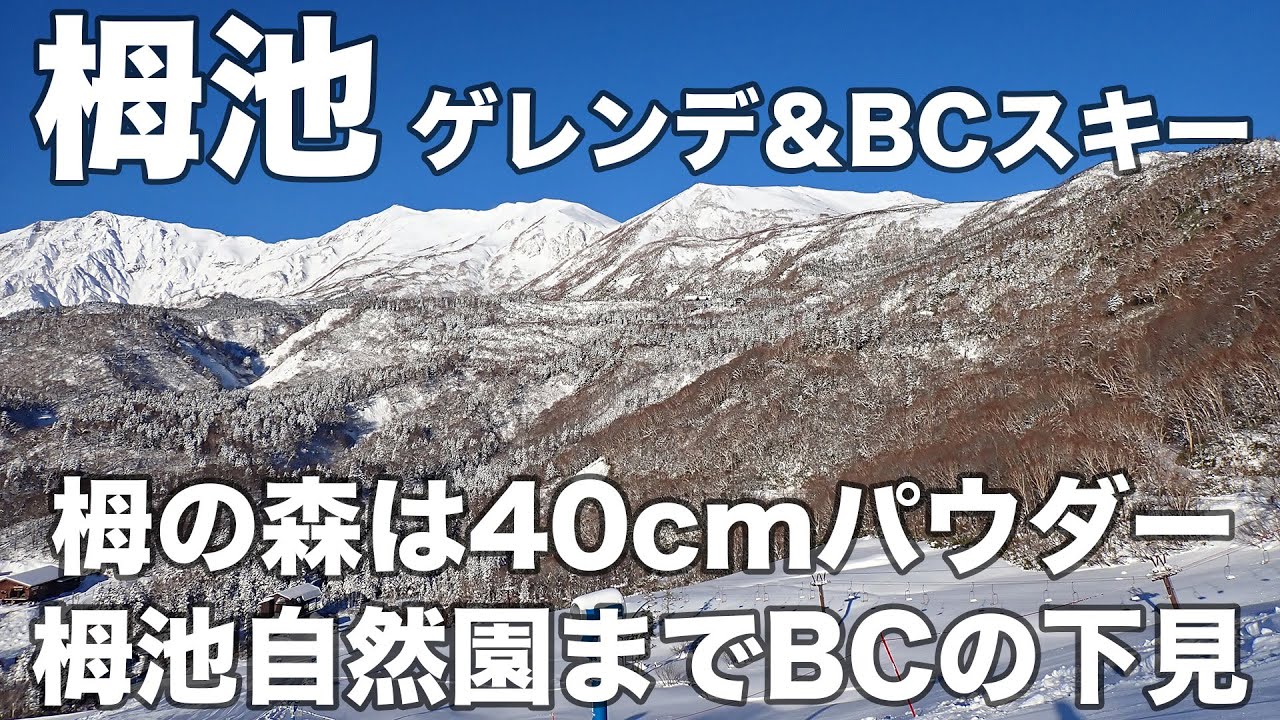 栂池 2025年12月6日 ゲレンデ&BCスキー 栂の森は40cmパウダー 栂池自然園までBCの下見