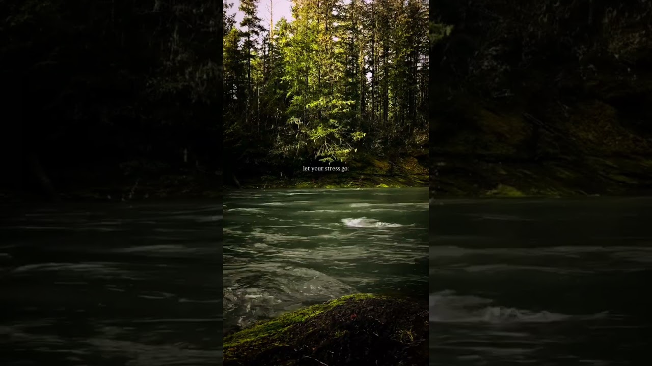 Stress relief perfect for a river continuous water flow / mind relaxing / stress relief video 🌊🧘‍♂️