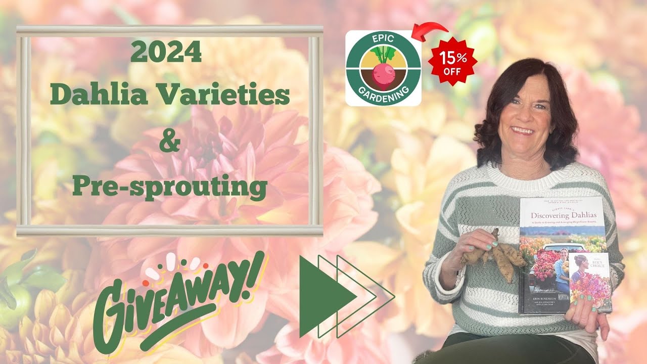 2024 Dahlias varieties & pre-sprouting 🌱🌺 #dahlias #epicgardening