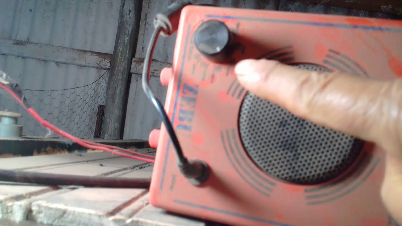 como acabar com os ratos em galinheiro pra sempre