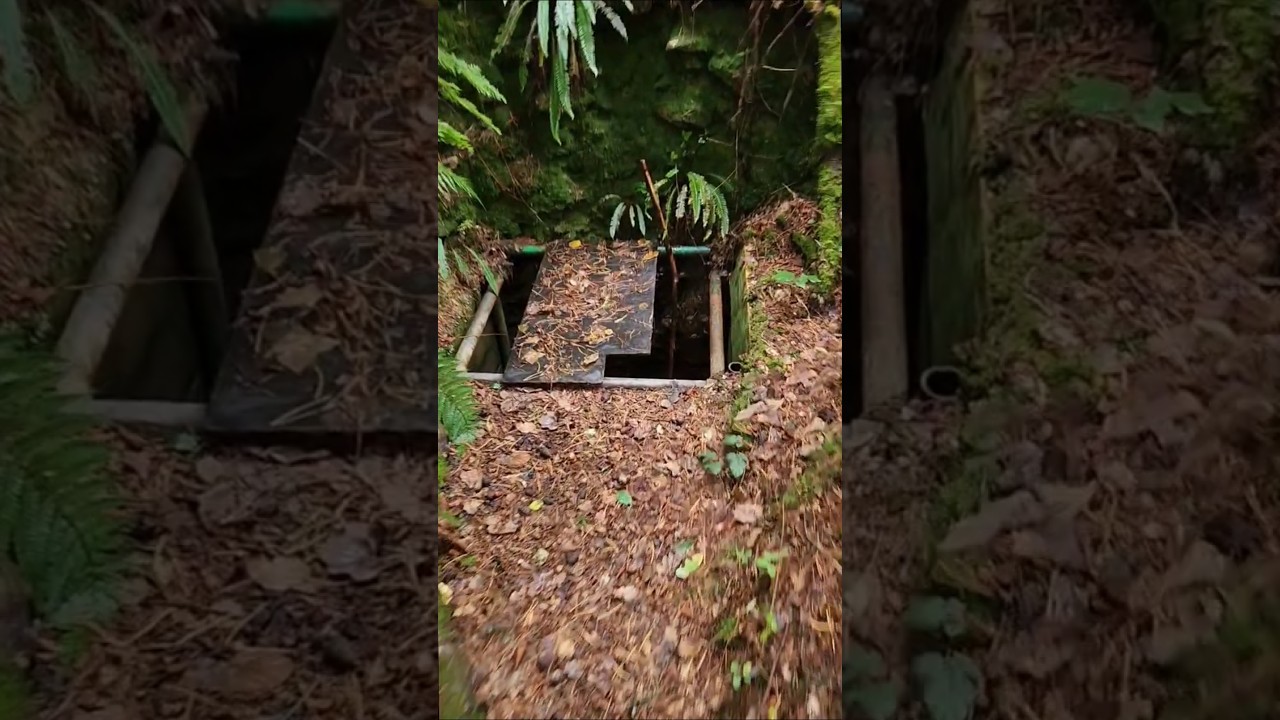 Would you climb down there?