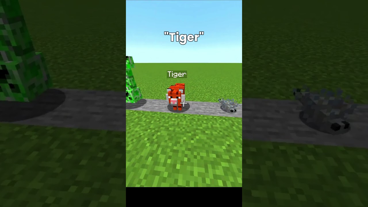 Minecraft Secret NameTags..!😱 pt.2