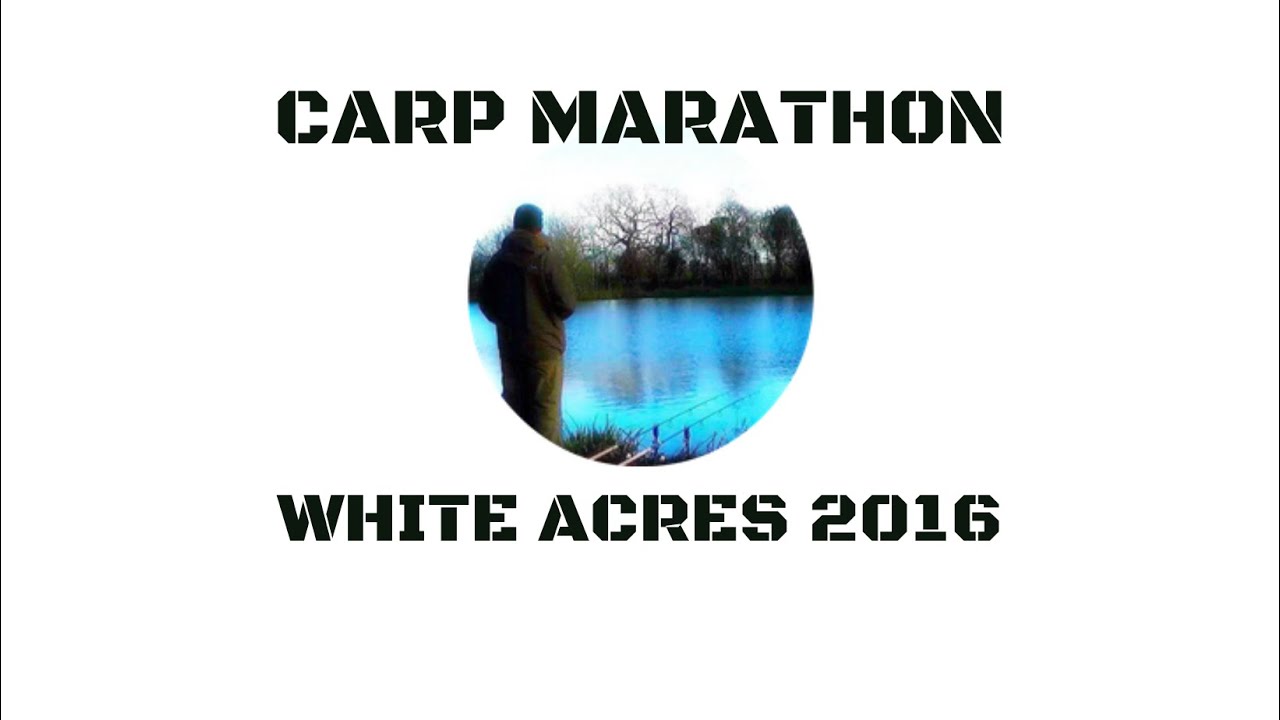 WHITE ACRES ( 2016 )