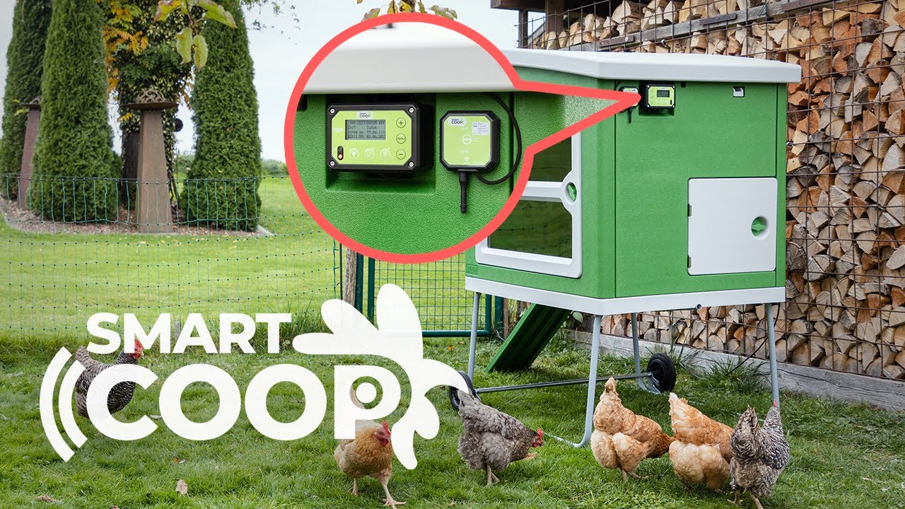SmartCoop 🐔 Die weltweit erste, smarte Plug & Play Stallautomation f&uuml;r H&uuml;hner und Halter