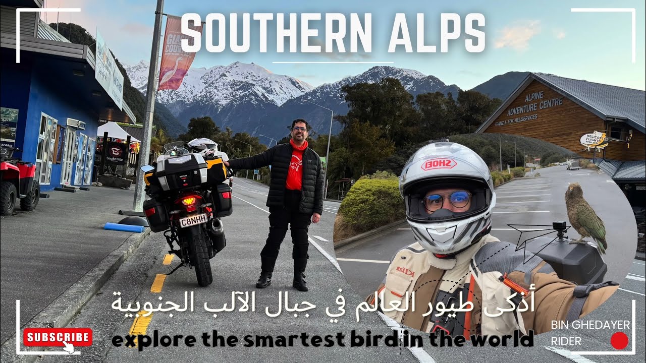 10-كيف سرقني اذكى طيور العالم😄 🇳🇿(4K) Explore The Smartest Bird 🦜In The World