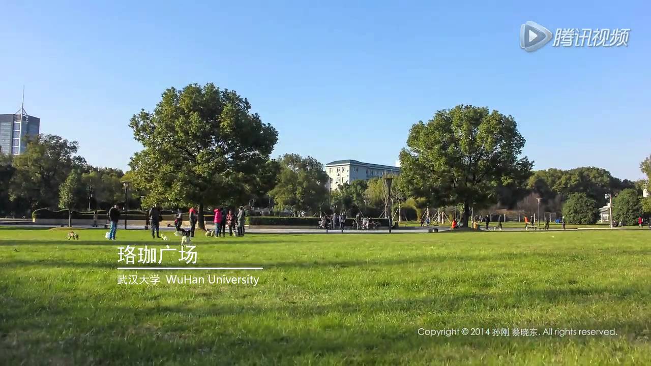 韵动珞珈——武汉大学延时拍摄