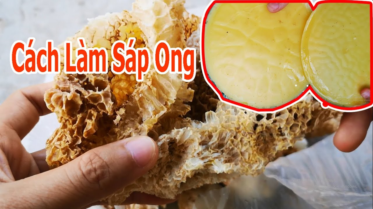 Cách Làm Sáp Ong Tại Nhà - HTIEN CP
