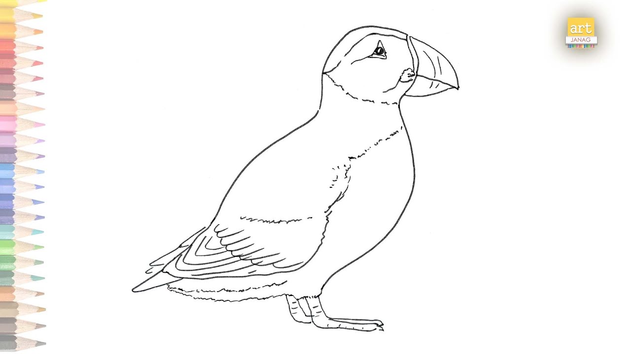 Puffin outline drawing 02 | How to draw A Puffin step by step | Outline drawings | Art JanaG