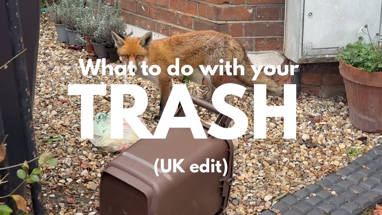 Finding better ways to throw away my trash
