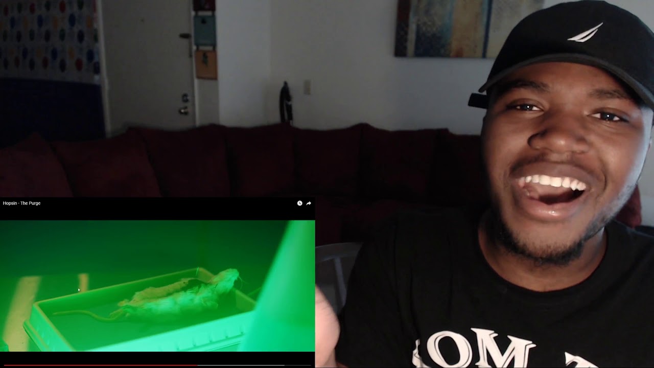 Hopsin - The Purge-REACTION