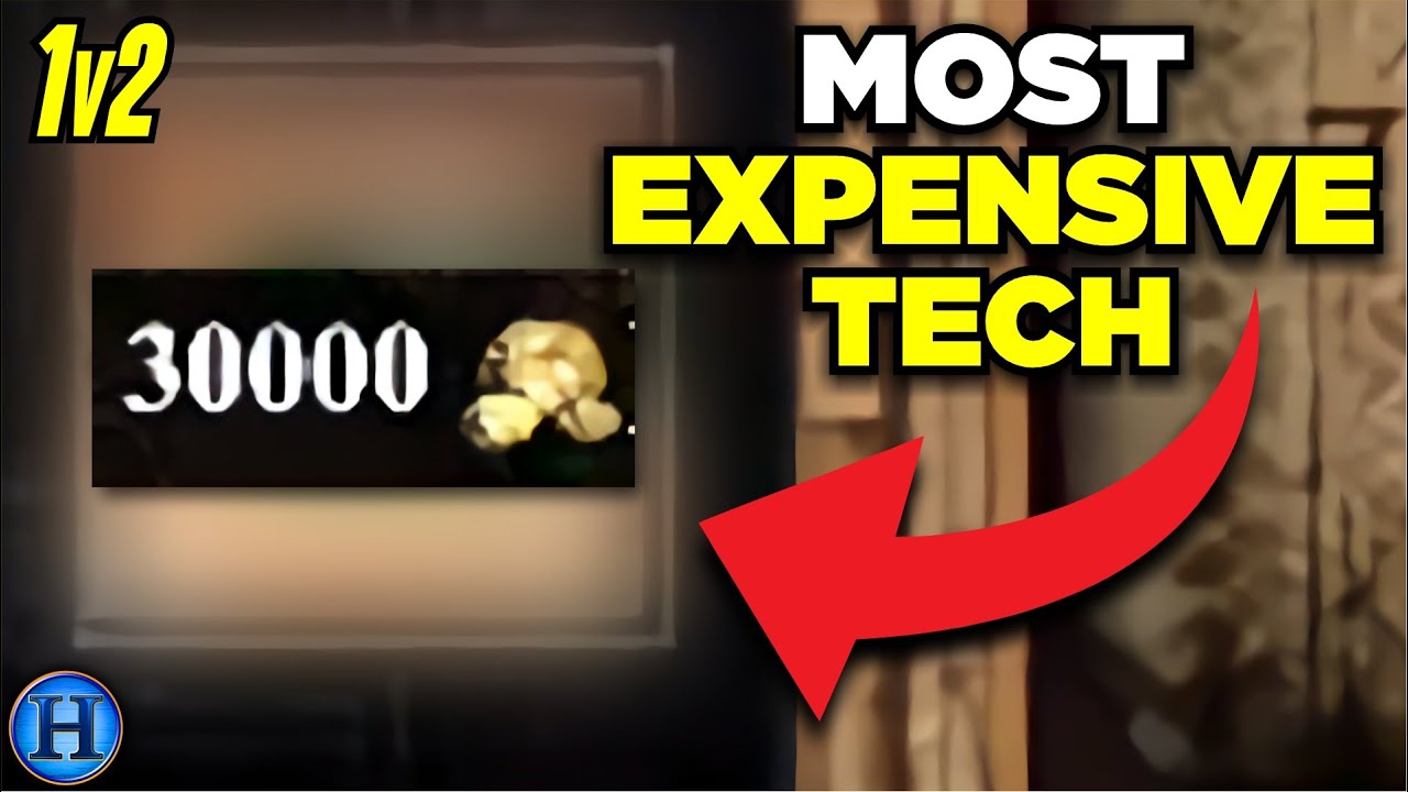 I Spent 30000 Gold on a Single Technology | 1v2 AoE2