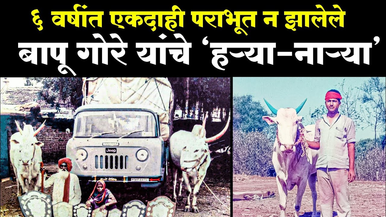 आठवणीतील हऱ्या-नाऱ्या,कडगुण| Aathavanitil harya- narya,kadgun |बापू गोरे, कडगुण| bapu gore kadgun