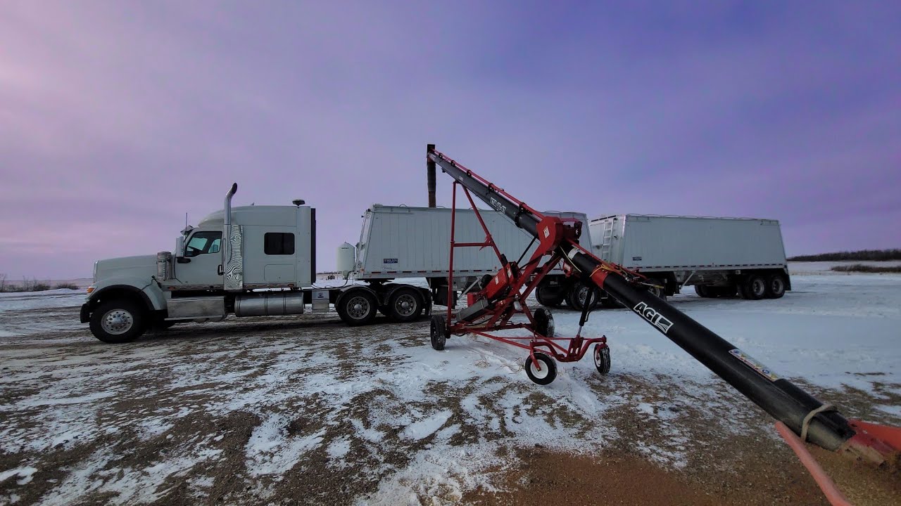 Hauling grain to the terminal!