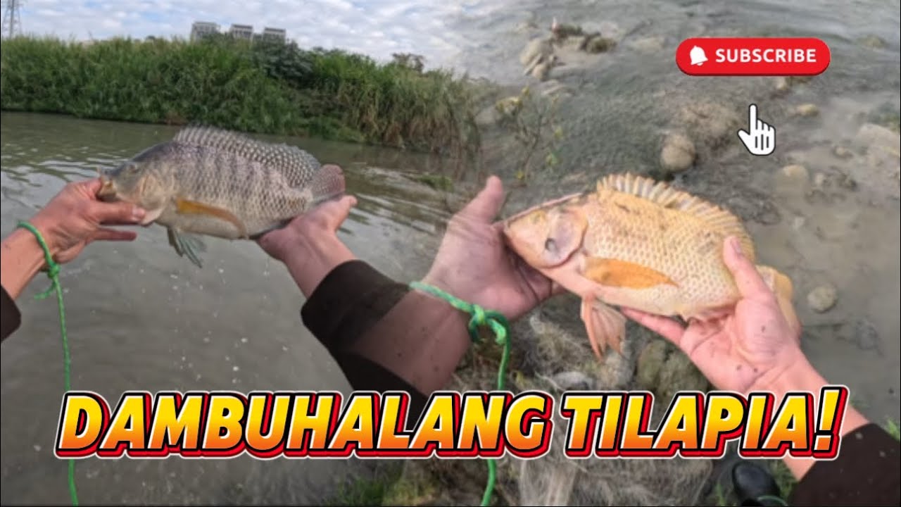 MAGKALAHI PERO MAGKAIBANG KULAY! SINO ANG MAS MASARAP?