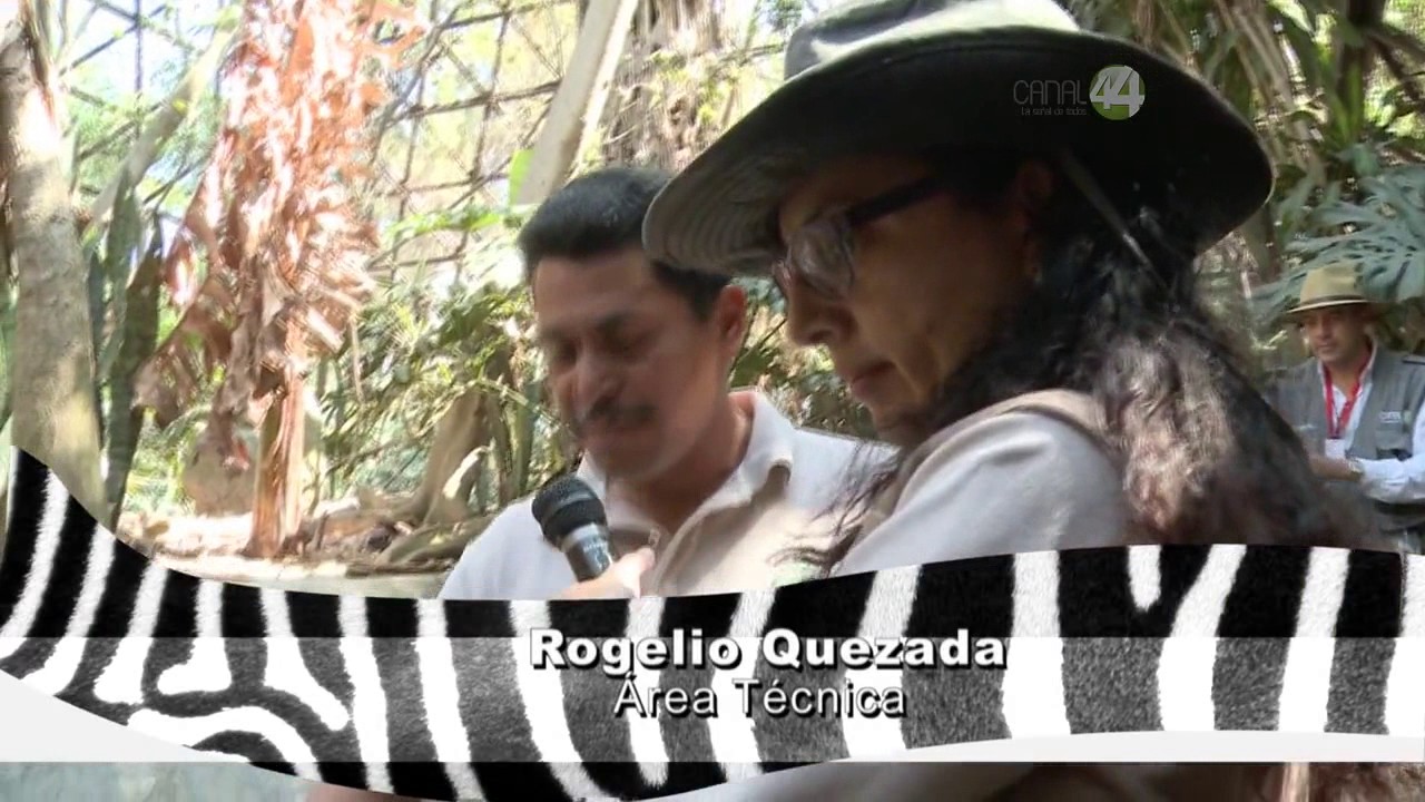 Desde el Zoológico: Aviario