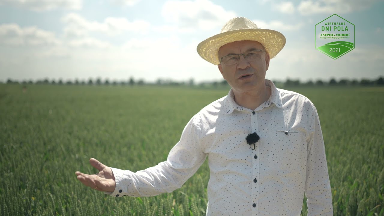 Jesienne nawożenie zbóż - dr hab Witold Szczepaniak