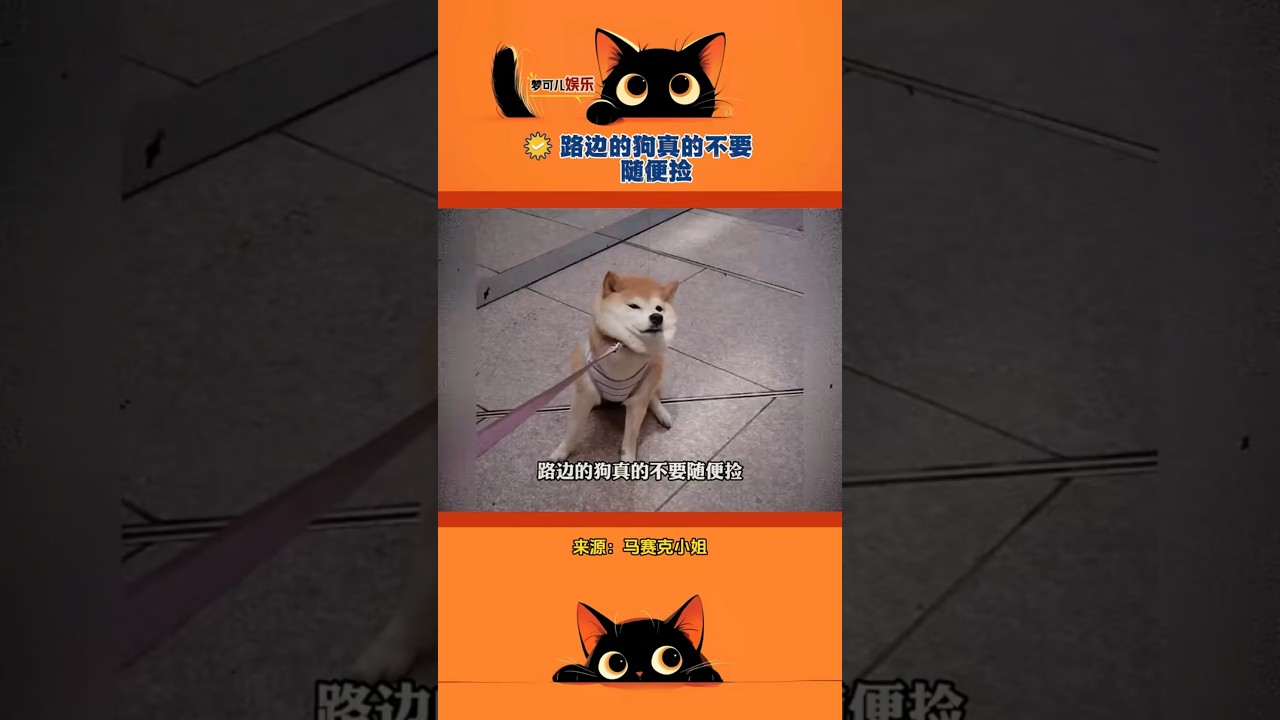 路边的狗真的不捡 #娱乐 #搞笑 #娱乐评论大赏