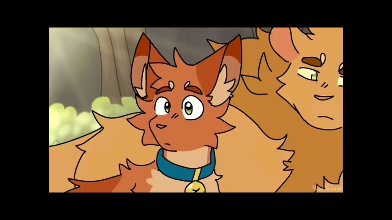 {AMV} La guerre des clans / Trés haut, Amir.